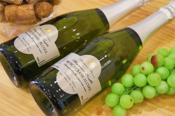 国产红酒樱花视频黄APP排行