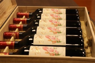 代理哪种法国进口红酒樱花视频黄APP适合