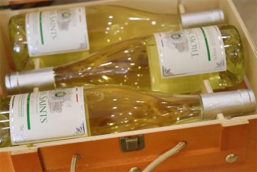 国产红酒樱花视频黄APP排行怎样呢