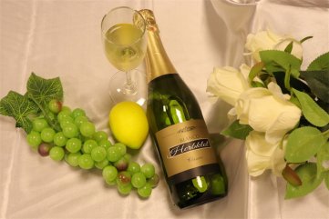 代理什么样的法国进口红酒樱花视频黄APP好