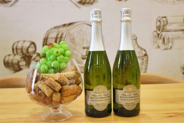 开家红酒代理樱花草日韩视频店有什么要求